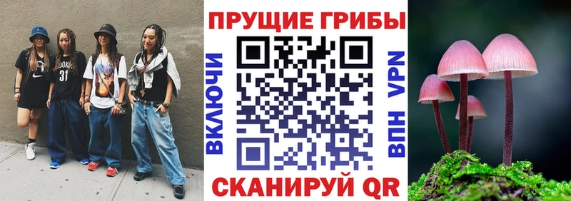 Галлюциногенные грибы GOLDEN TEACHER  где найти   Нелидово 